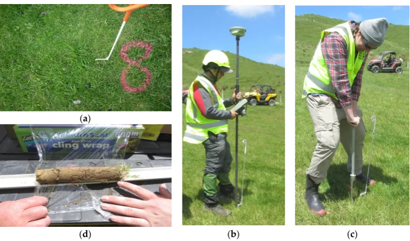 Figure 3. Figure 3. ((aa) Site 1 grid pattern; () Site 1 grid pattern; (bb) Site 2 grid pattern