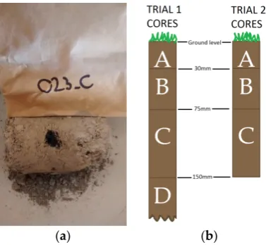 Figure 5.Figure 5.  (a) A sectioned soil core (site 23 layer C), ((a) A sectioned soil core (site 23 layer C), (bb) Schematic of soil sections.) Schematic of soil sections