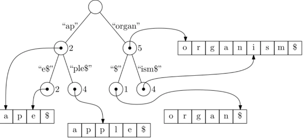 Figure 7.4: The edge labels of a Patricia tree use the pointer/length representation.