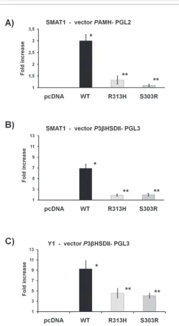 Figure 3: Functional analysis in SMAT1 and Y1 of the R313H and S303R mutations. The transcriptional activity of wild-type SF1 (p-SF1wt) and mutants p.Arg313His and p.Ser303Arg (p-R313H and p-S303R respectively) were studied using Ph3BHSD2 and PhAMH promote