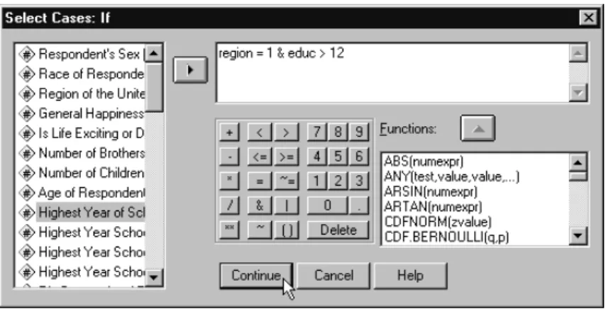 Figure 10 The Data Editor after case selection 