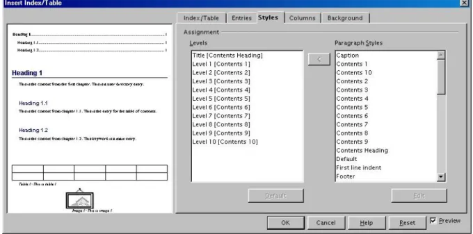 Illustration 4 Styles tab