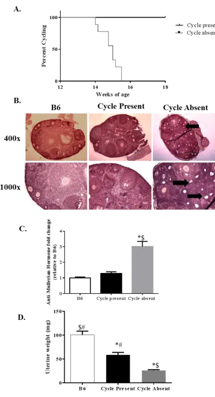 Figure 4.1: Estrus cycle cessation with cachexia (Experiment 1): A) Survival curve showing age of cycle cessation in Cycle Absent mice