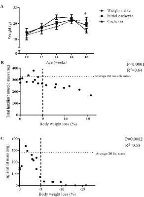 Figure 3.2: Cachexia progression in female Apc Min/+ mice (Experiment 1): A) Average body weight from 10-18 weeks for weight stable, initial cachexia, and cachexia groups (n=6 per group)