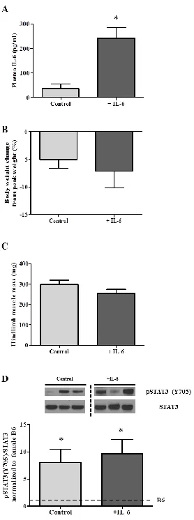 Figure 3.5: Effect of IL-6 overexpression in 18 week-old female Apc Min/+ mice (Experiment 3): A) Female Apc Min/+ mice that had IL-6 systemically overexpressed from 15-18 weeks of age had higher circulating plasma IL-6 than control mice (p=0.002)