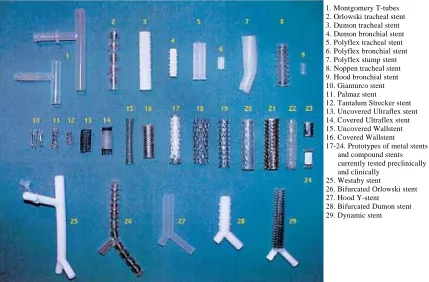 Figure 1.1. Overview of currently available stents (Freitag 2000). The Dynamic stent is  listed as piece 29, also, the Dumon (3-4, 28), Polyflex (5-7), Hood (9), Gianturco (10), and Palmaz (11) which were some of those previously mentioned