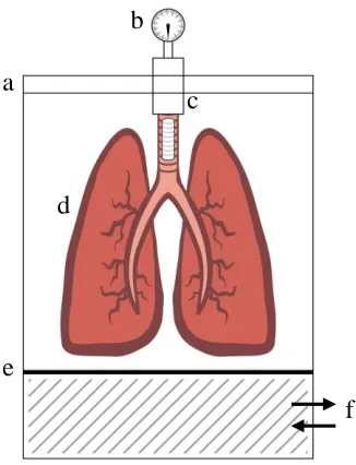 Figure 2.1. Schematic of design constraints. Proposed design needs to house lungs in rigid  container, which has air tight seal (a), a pressure monitor (b), lung attachment (c), lungs (d), diaphragm (e), and contain a method for adjusting pressure in diaph