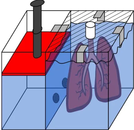 Figure 2.4. Ventilation Chamber Concept 3. Square chamber divided by wall, with holes  in the bottom, to allow fluid flow between sections