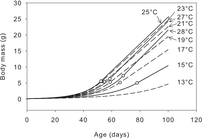 Fig. 3.8 Projected growth trajectories at selected environmental temperatures for O. ocellatus