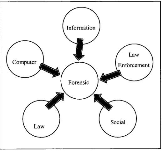 Figure 2: Forensic Computing Domain 