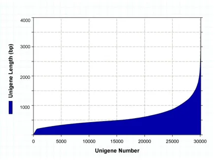 Figure 1.1: De novo assembly unigene length distribution. Length distribution of unigene sequence obtained from the de novo assembly