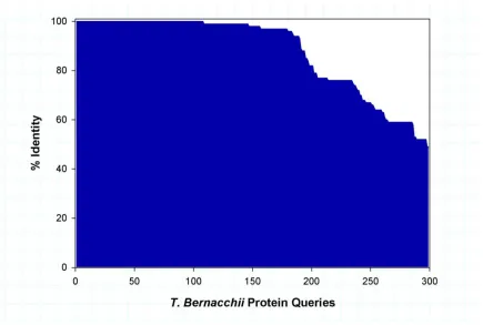 Figure 1.2: BLAST results: T. bernacchiii percent identity of each known unigene from the assembled transcriptome