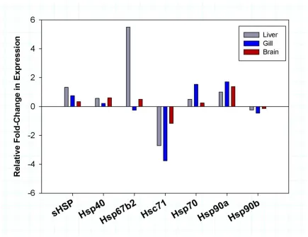 Figure 1.7: Differential expression of heat shock protein families in T. bernacchii.to control fish were obtained from the RNAseq analysis and directly compared across liver (grey), gill (blue) and brain (red)