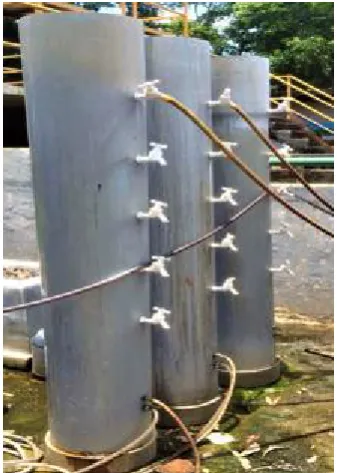 Fig. 2 - The pilot scale of vertical upward-flow EAFS system at site location