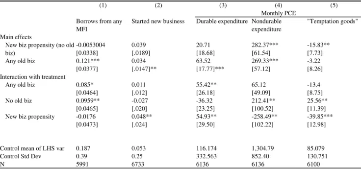 Table 6: Effects by business status: borrowing and expenditure