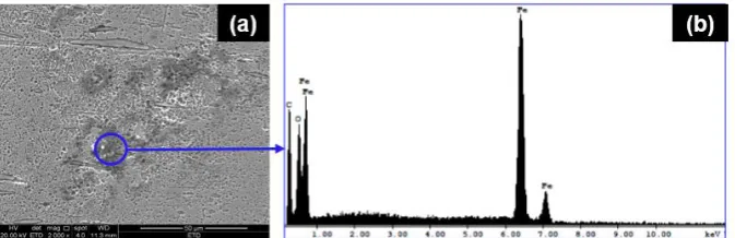 Figure 15: (a) Optical micrograph of the corroded shell showing corrosion deep inside the structure, (b) EDS analysis  for the corrosion product shown in Figure 15a