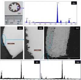 Figure 16: (a) As-received photograph of the plain washer of Figure 4a,c showing no sign of corrosion, (b) optical  micrograph of the whole cross-section with no trace of corrosion, etchant: aqua-regia
