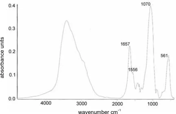 Figure 2.1  Infrared spectra of a stylet with the outer sheath removed.  and the peaks at 1070 and 561 cmAmide bands I and II at 1657 and 1556 cm-1 suggest the presence of chitin, -1 suggest the presence of calcium phosphate
