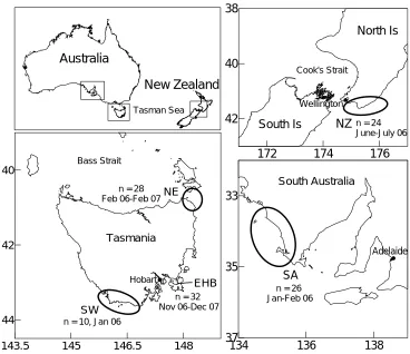 Figure 3.1  The sample locations, sample sizes (n), and collection dates of Octopus maorum