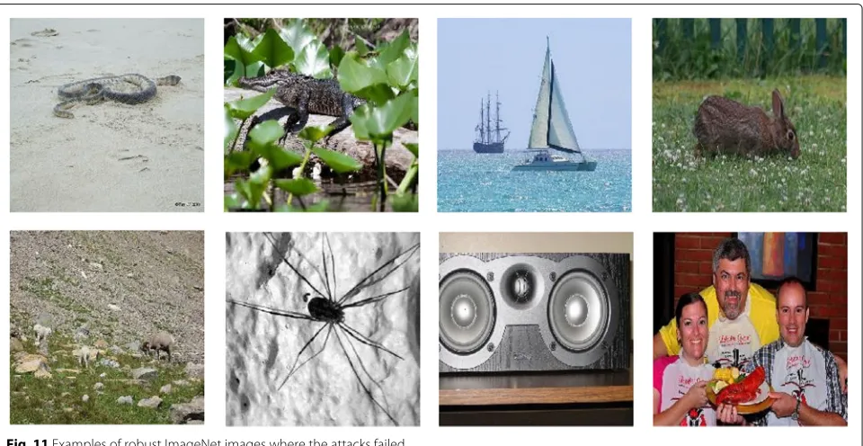 Fig. 10 Examples of proposed attack on ImageNet images. The perturbed pixels are highlighted by red circles