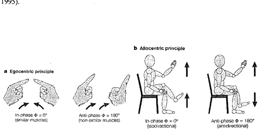 Figure 2.1 Basic coordination constraints: a. Egocentric and b. Allocentric. <1>: relative phase
