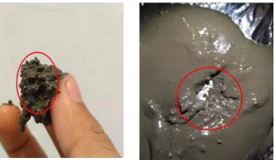 Fig. 22 - Clogging that happened in sodium silicate mortar after 10 minutes.