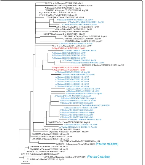 Figure 1 The neighbor joining tree of influenza A/H1N1 (Swine) 2009 complete HA gene (1,701 bp).