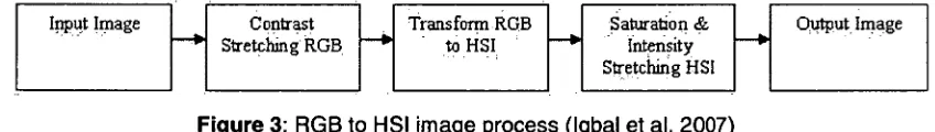 Figure 3: RGB to HSI image process (Iqbal et al. 2007) 