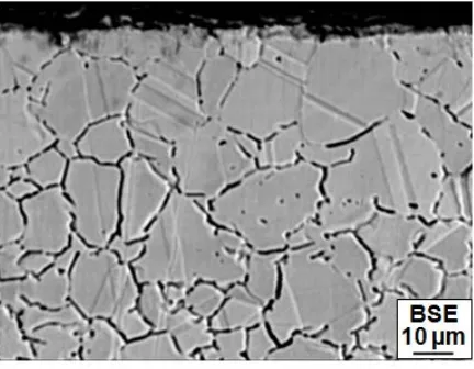 Figure 2: Optical micrograph of failed wire rope shows (a) austenite grain structure with few dislodged grains from  the grain boundaries at the surface near fracture and (b) high magnification of Figure a