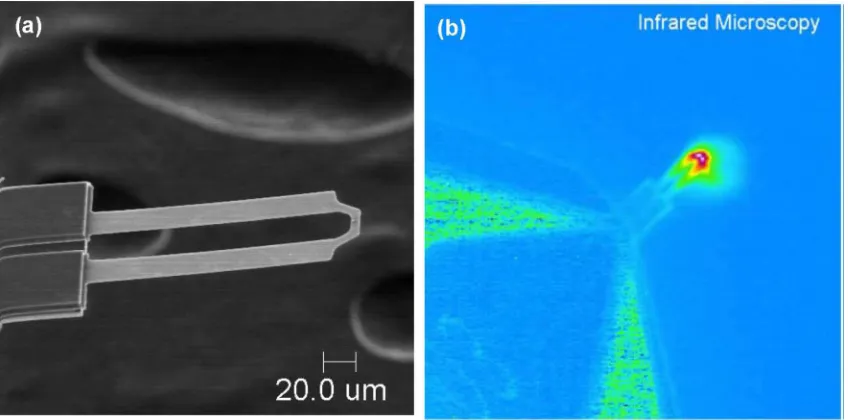 Figure 2.1   (a) Scanning electron microscope (SEM) and (b) infrared (IR) microscope images of the fabricated heated cantilever, indicating heating only near the free end of the cantilever [7]