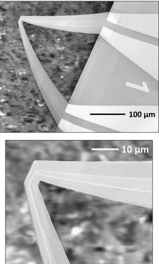 Figure 2.21   SEM image of (top) continuous tip dual channel microcantilever heater (CTDC-TMH); (bottom) close-up of the tip