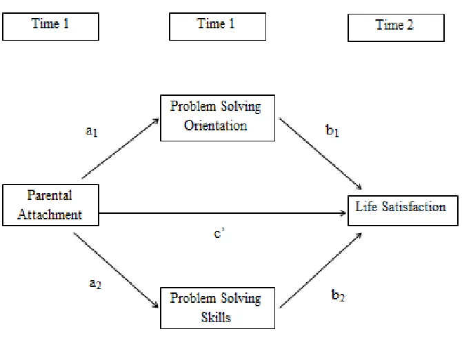 Figure 3.5 Conceptual mediation pathway with paths indicated by letter 