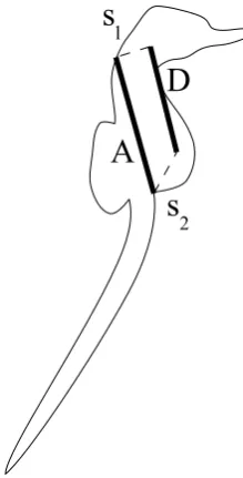 Figure 4.9: Values measured to compare a seahorse segment annotation A against a
