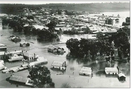 Fig. 3 - View of one of the towns during the 1946 floods. 