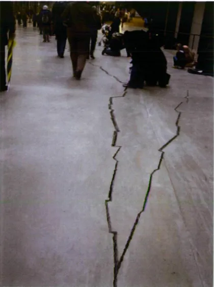 Figure 14: Shibboleth, Doris Salcedo, 2007 