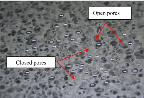Fig. 2- Microstructure of stainless steel foam produced by the sponge replication method