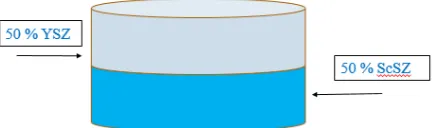 Figure 1 - Design of bi-layer electrolyte for the case of 50 YSZ and 50 ScSZ.
