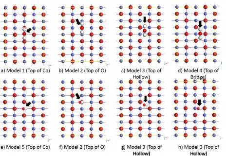 Fig. 3 - H2O adsorption on CoO surface