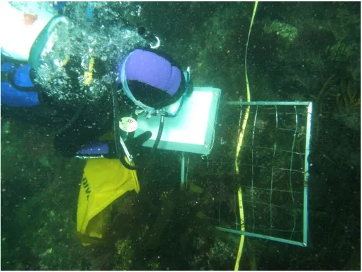 Figure 2-4 Manual quadrat sampling technique 