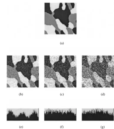 Fig. 2. Test images with three classes. Intensity means are 20, 125, 220, and proportions are 0.372, 0.299, and 0.329, respectively