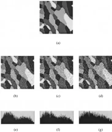 Fig. 5. Test images with five classes. Intensity means are 30, 77, 125, 172, and 220, and proportions are 0.28, 0.273, 0.113, 0.187, and 0.147, respectively
