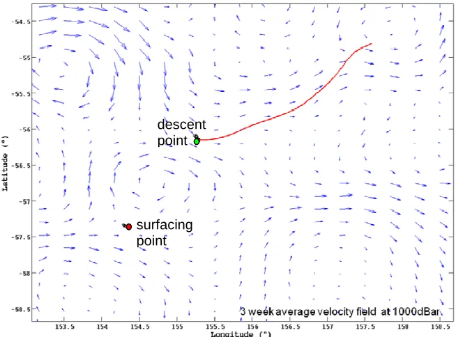 Figure 7.3: Example of a simulated Argo float trajectory in a complex velocity field 
