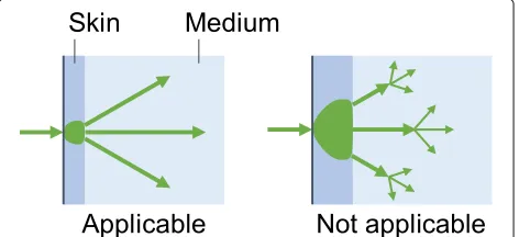 Fig. 2 Transmission of rays when parallel rays are cast