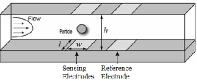 Fig. 1 -  Overview of Dielectric Spectroscopy technique  
