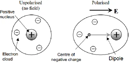 Fig. 3 -  Overview of electrorotation technique   