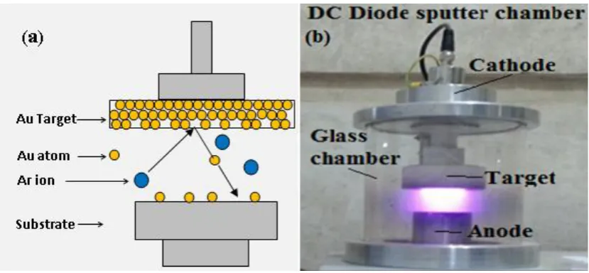 Figure 1. (a) Working principle of ion-coater  (b) Photograph of DC diode sputter chamber