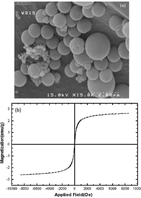 Figure 2. (A) SEM images of nano-particles coated with poly-styrene in vacuum , in the scale of 2 µm and 15000 magnification and (B) Magnetization vs