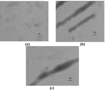 Figure 3 shows the difference between the FTIR spectroscopy for magnetite, normal poly-styrene and nano-particles coated with poly-styrene in vacuum