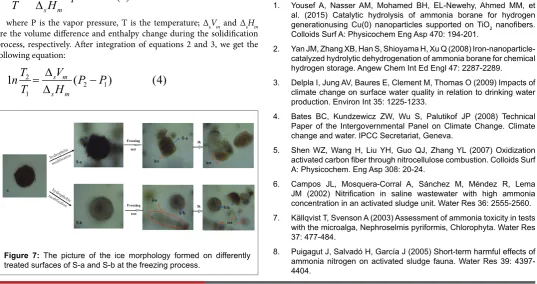 Figure 7: The picture of the ice morphology formed on differently 