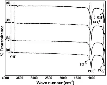 Figure 1. FTIR spectrum of HAp synthesized from crab shells at (a) room temperature, (b) 40°C, (c) 60°C, and (d) 80°C